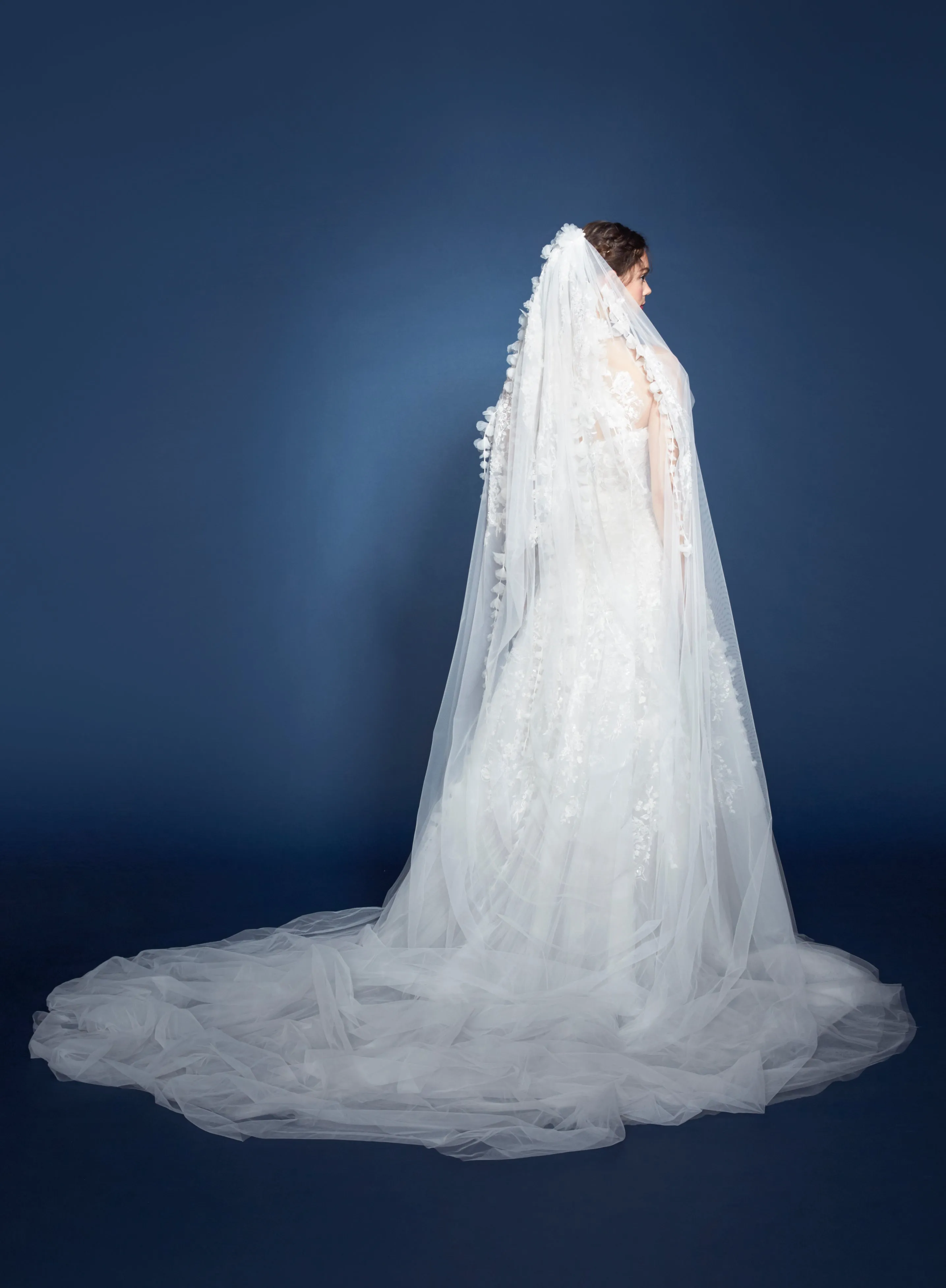 Antonia Veil