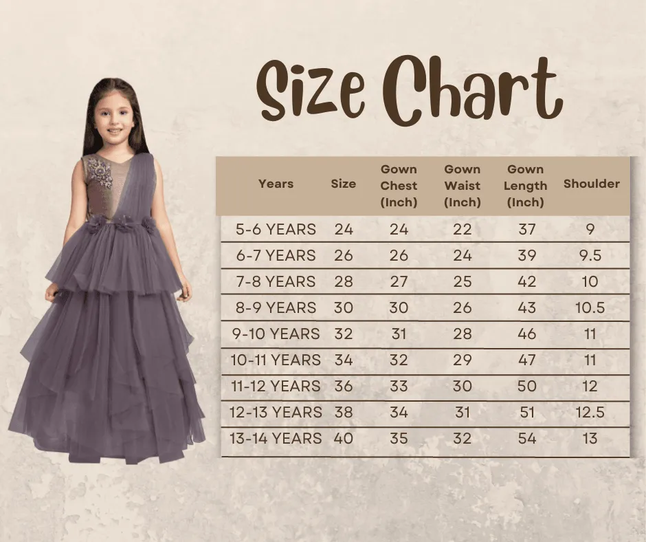 Burgundy Coloured Simple Imported Net Gown For Girls