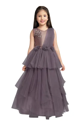 Burgundy Coloured Simple Imported Net Gown For Girls