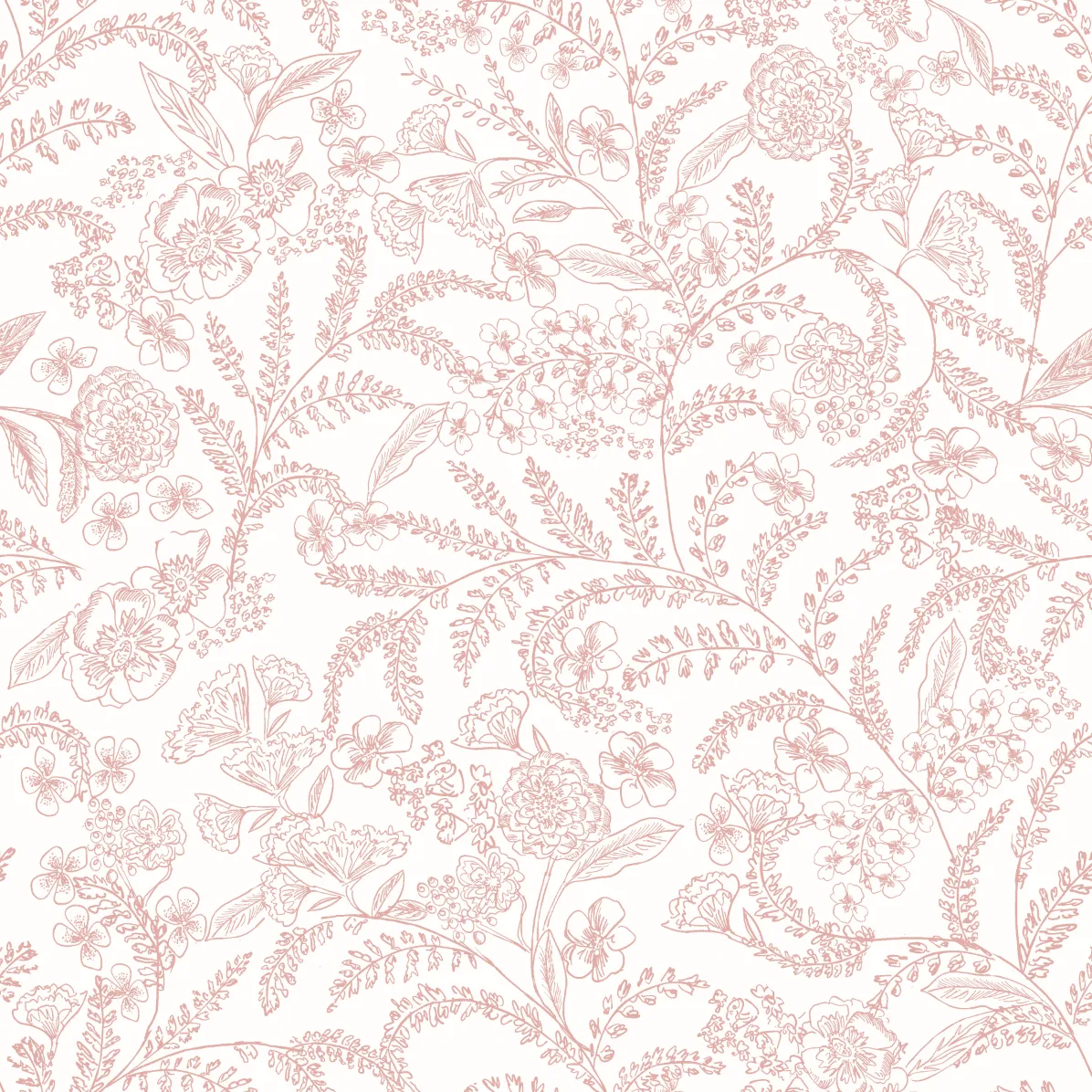 Clementine - Blushing Botanicals