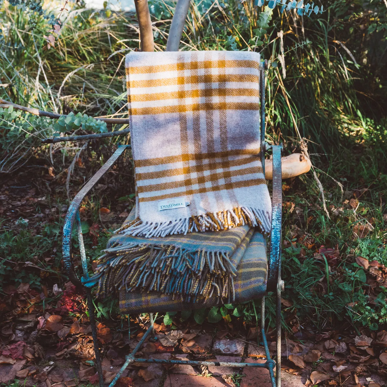 Extra Large Throw in 100% Wool - Hex Check - English Mustard (150x240cm) *Returning 2025